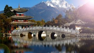 Vận chuyển măng cụt từ Bình Dương đi Nhật giá rẻ, nhanh chóng, uy tín