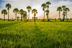 nhập hàng thực phẩm chức năng