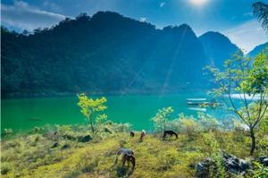 Thực phẩm chức năng chuyển phát nhanh