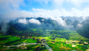 xách tay mỹ phẩm