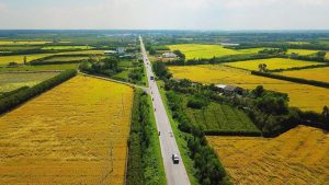 xách tay mỹ phẩm nhật