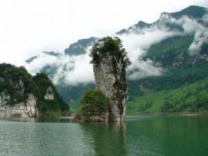 thực phẩm chức năng