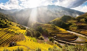 Thực phẩm chức năng