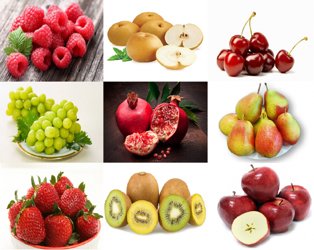 Bảo quản trái cây khi vận chuyển dễ hay khó? cần lưu ý gì?