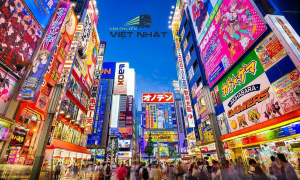 Dịch vụ chuyển phát nhanh Tokyo tiếc kiệm, uy tín
