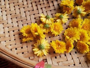 Gửi hoa cúc khô đi Nhật giá rẻ, nhanh chóng