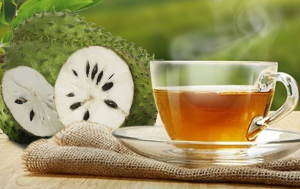 Gửi trà mãng cầu đi Nhật uy tín giá ưu đãi