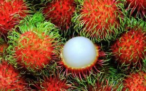 Dịch vụ chuyển phát nhanh chôm chôm sấy dẻo đi Chubu uy tín