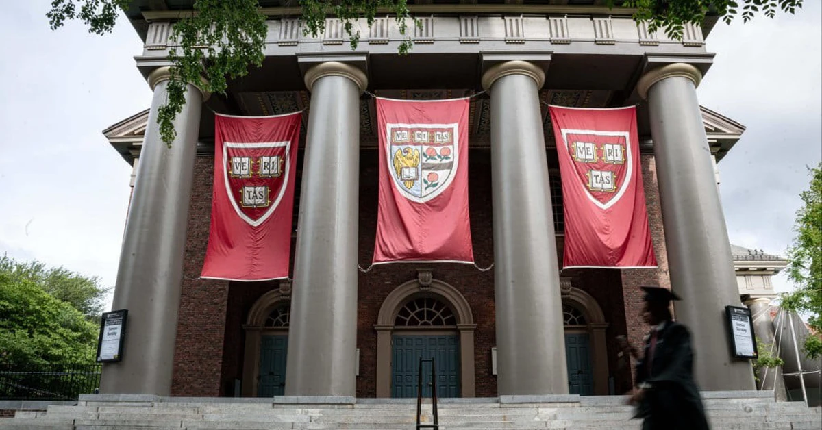 Nhật Bản Mở Cửa Tiếp Nhận Du Học Sinh Harvard Giữa Làn Sóng Hạn Chế Tại Mỹ