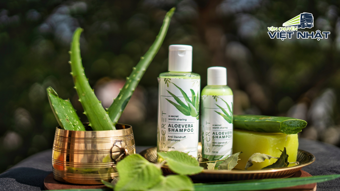 Người Nhật Chuộng Hàng Tiết Kiệm – Cơ Hội Kinh Doanh Đồ Refill, Hàng Eco