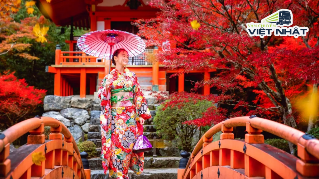 Du Lịch Nhật Bản Mùa Thu: Khi Lá Đỏ Phủ Kín Kyoto