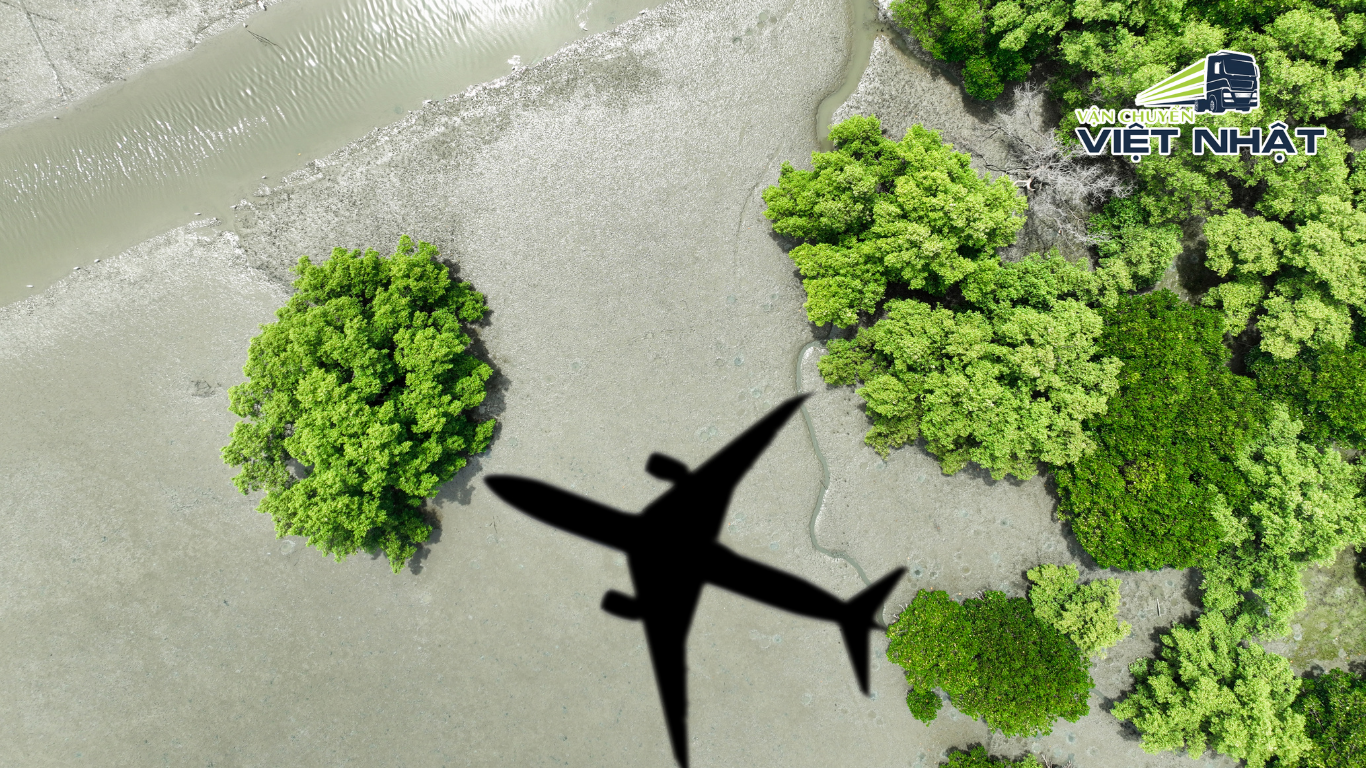 Vì Sao Dịch Vụ Hàng Không Nhật Luôn Đứng Top Thế Giới?