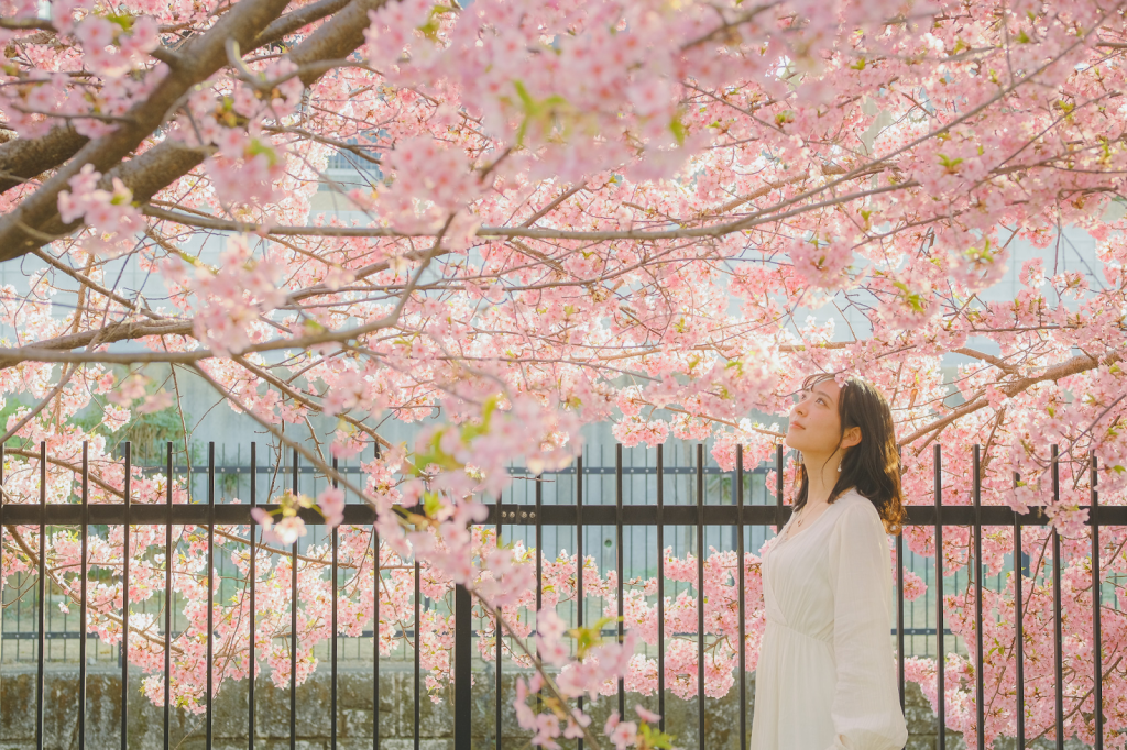 Du lịch Nhật Bản 4 mùa: Nên đi đâu, làm gì vào từng
thời điểm trong năm?