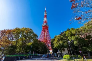 Tháp Tokyo Tower: Biểu Tượng Kiêu Hãnh Của Thủ Đô Nhật Bản
