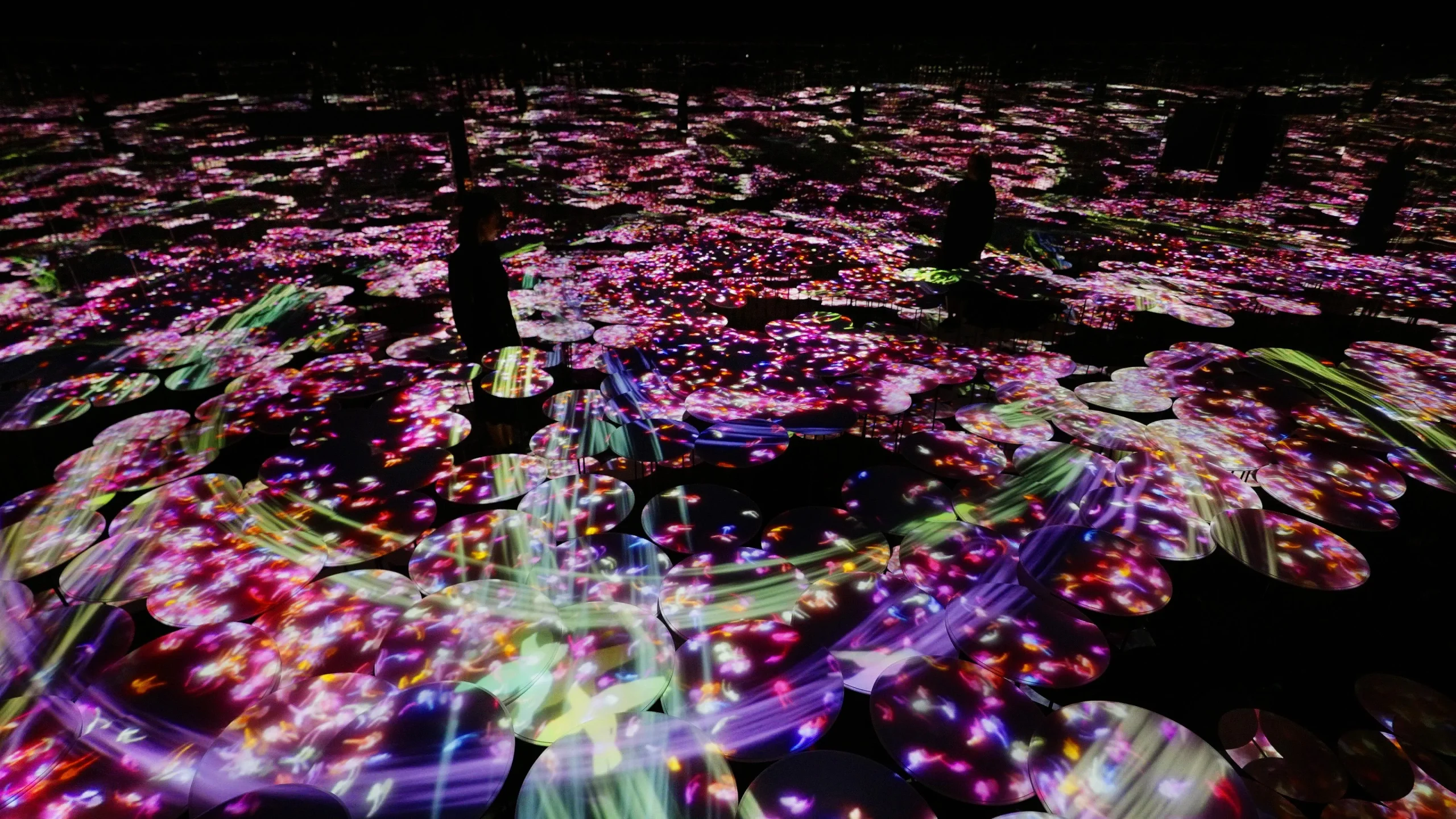 TeamLab Borderless - Bảo Tàng Kỹ Thuật Số Độc Đáo Tại Tokyo