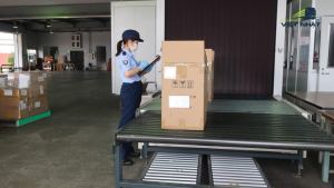 Khai Báo Hải Quan Khi Gửi Hàng Sang Nhật Bản Cần Lưu Ý Gì?